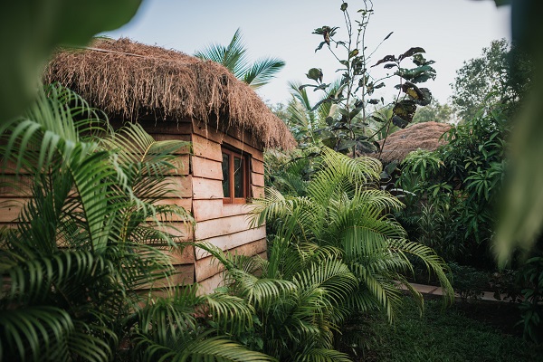 Jungle hut13