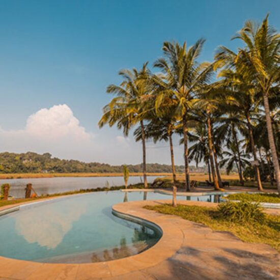 resort with coconut tree in north goa