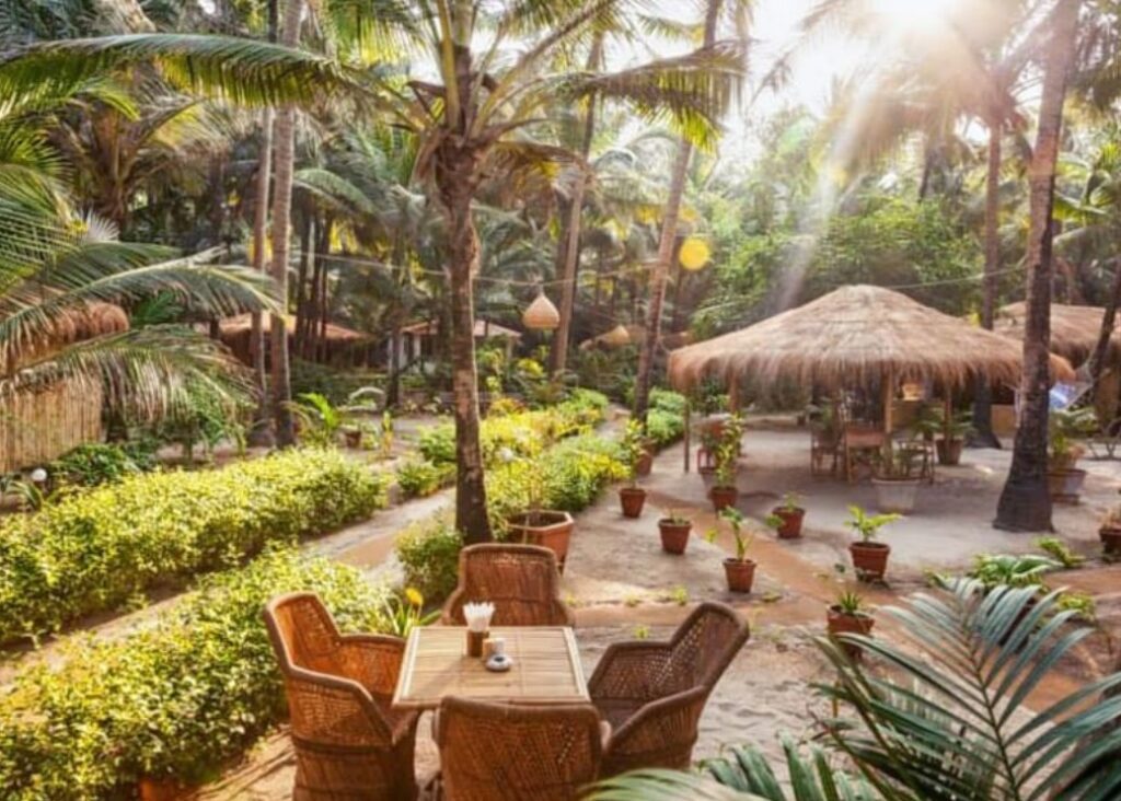 palm grove resort 